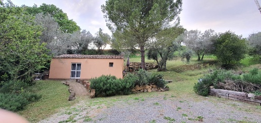 Foto Rustico a Casale Marittimo di 42 m² con 1 locali in vendita