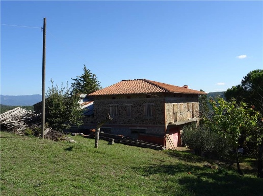 immagine annuncio 3 di 11