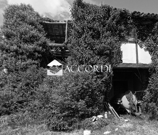 immagine annuncio 3 di 8