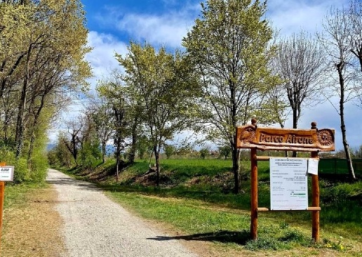 immagine annuncio 2 di 8