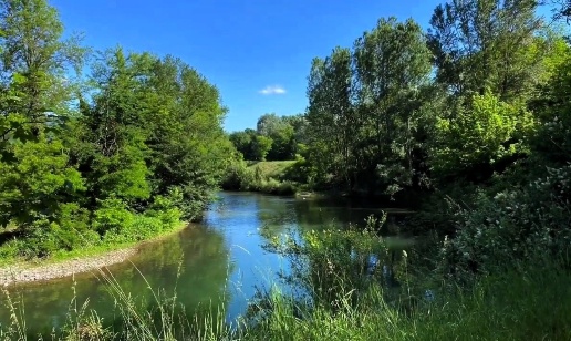 immagine annuncio 3 di 8