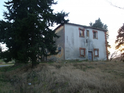 immagine annuncio 4 di 8