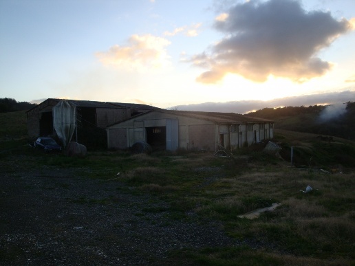 immagine annuncio 5 di 8