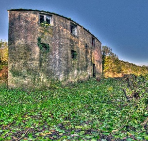 Foto Rustico in san martino, Portoferraio di 200 m² in vendita