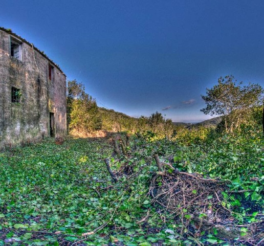 immagine annuncio 4 di 7
