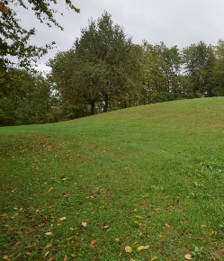 Foto Rustico a Giavera del Montello Santi Angeli di 190 m² con 4 locali