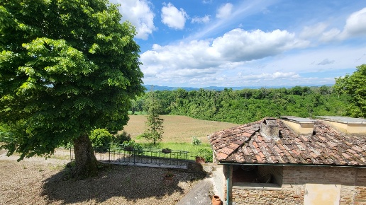 immagine annuncio 2 di 4