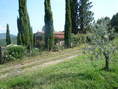 Foto Rustico a Montecatini Val di Cecina di 60 m² con 2 locali in vendita