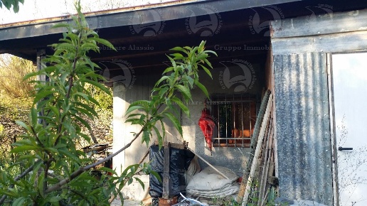 immagine annuncio 2 di 11