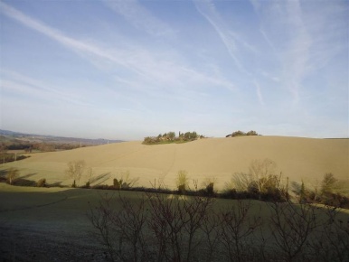 Foto Rustico a Volterra di 1600 m² in vendita