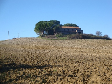 Foto Rustico a Bibbona di 450 m² con 9 locali in vendita