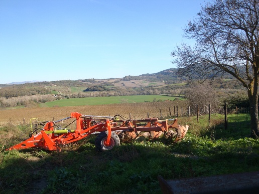 immagine annuncio 6 di 9