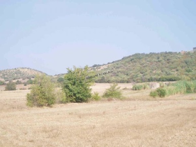 Foto Rustico in LOC. VIGNONE, Campagnatico Centro di 120 m² con 5 locali