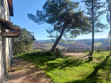 Foto Rustico a Castelfiorentino di 650 m² con 20 locali in vendita