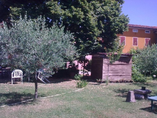 immagine annuncio 3 di 12