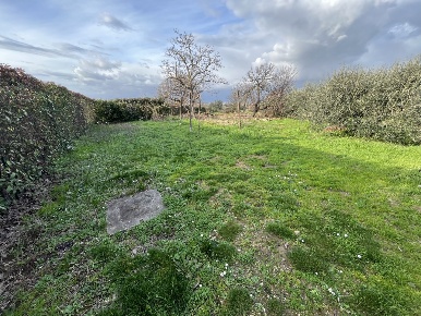 Foto Rustico a Signa di 140 m² con 5 locali in vendita