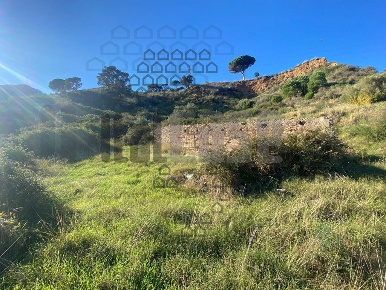 Foto Rustico in Torrente Pace, Messina Curcuraci di 35000 m² con 18 locali