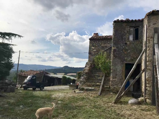 immagine annuncio 2 di 12