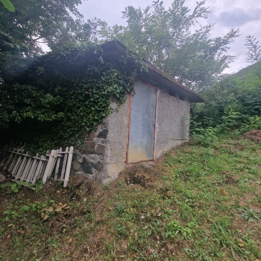 immagine annuncio 6 di 7
