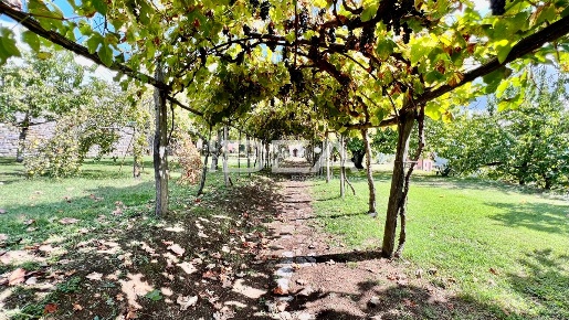 Foto Rustico in Via Senatore Adolfo Zerboglio, Barga Centro di 250 m²
