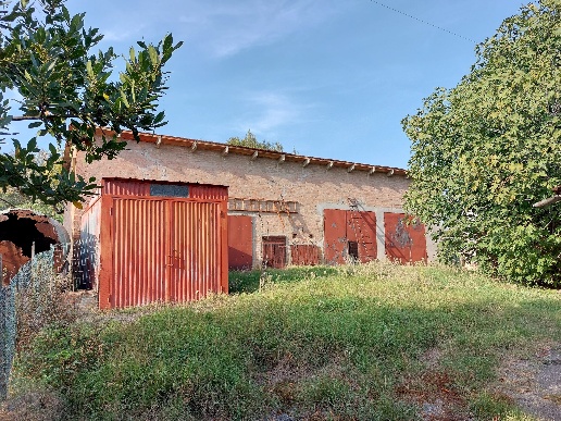 immagine annuncio 3 di 7