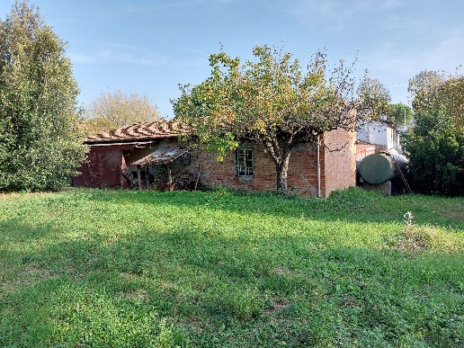 immagine annuncio 4 di 7