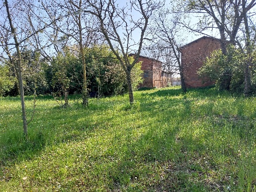 immagine annuncio 3 di 6