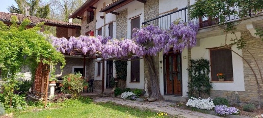 Foto Rustico in Regione Boschi, Canelli di 384 m² con 12 locali in vendita