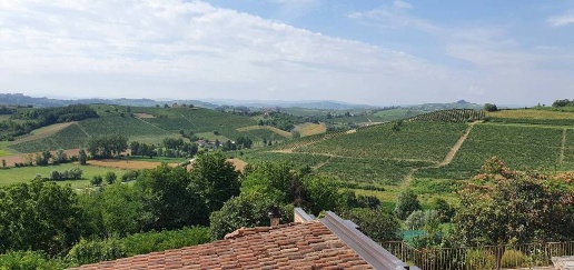 Foto Rustico in Regione Brussacco, Agliano Terme di 454 m² con 11 locali