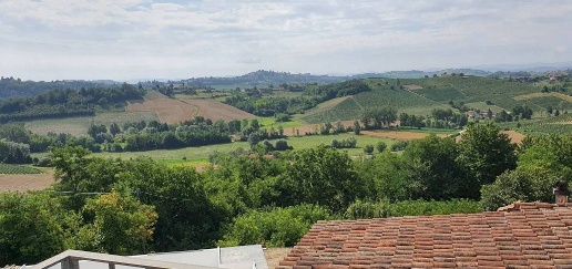 Foto Rustico in Regione Brussacco, Agliano Terme di 454 m² con 11 locali