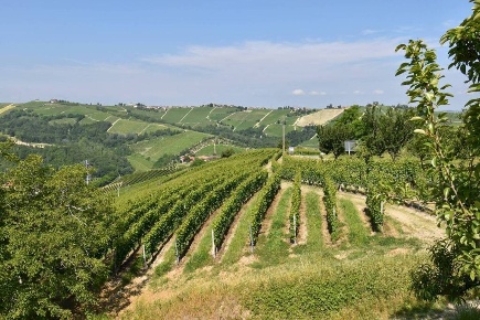 Foto Rustico a Neviglie di 676 m² con 10 locali in vendita