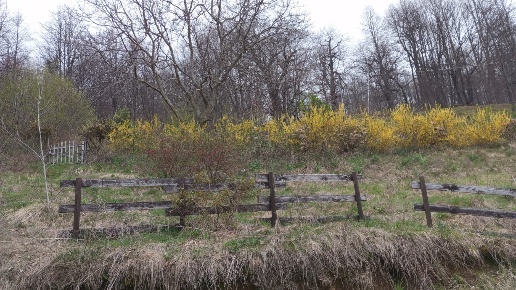 immagine annuncio 11 di 14