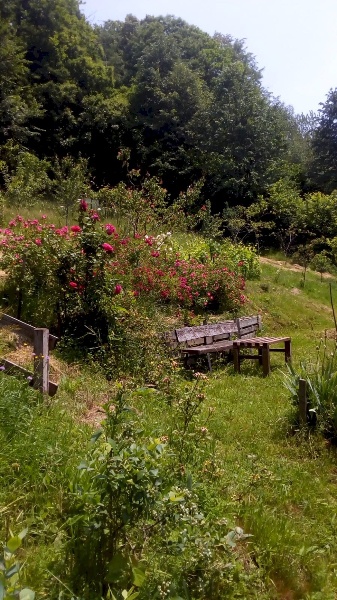 immagine annuncio 13 di 14