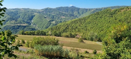 Foto Rustico in Regione Vengore S.N.C, Roccaverano di 245 m² con 9 locali