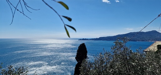 Foto Rustico a Zoagli Centro di 400 m² con 10 locali in vendita