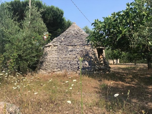 immagine annuncio 1 di 3