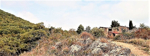 Foto Rustico in Via monterapille 5, Magione in vendita