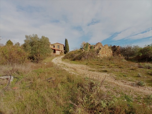 immagine annuncio 8 di 9