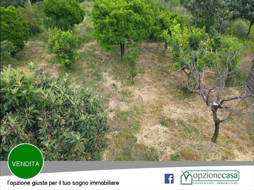 immagine annuncio 8 di 9