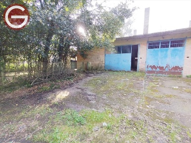 Foto Rustico in Contrada Uliveto, Cittanova di 390 m² con 10 locali