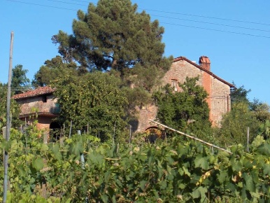 Foto Rustico in Tofori, Capannori Camigliano di 1000 m² con 5 locali