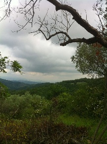 Foto Rustico in via collemancio, Cannara di 255 m² con 10 locali in vendita