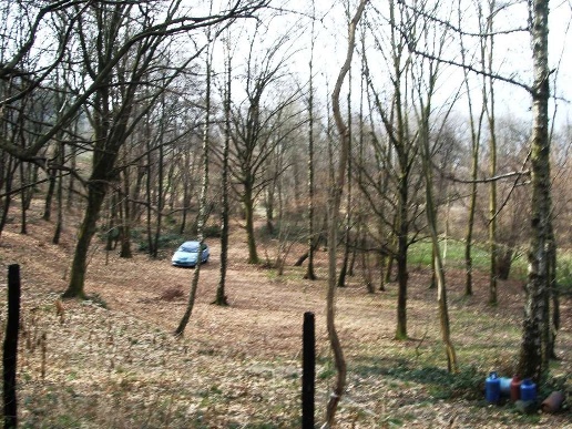 immagine annuncio 4 di 8