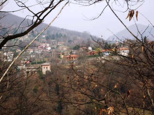 immagine annuncio 5 di 8