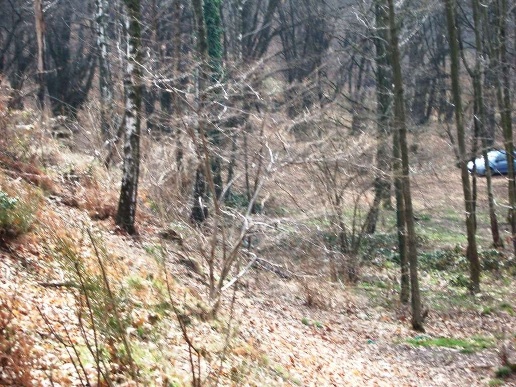 immagine annuncio 6 di 8