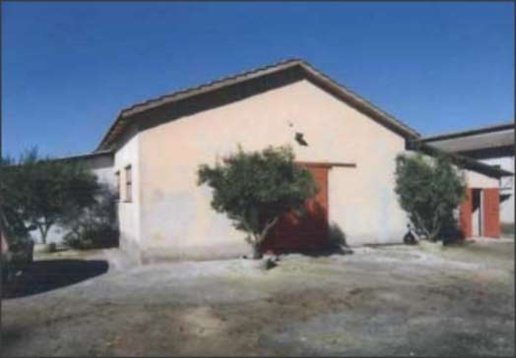 immagine annuncio 9 di 14