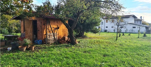 immagine annuncio 2 di 4