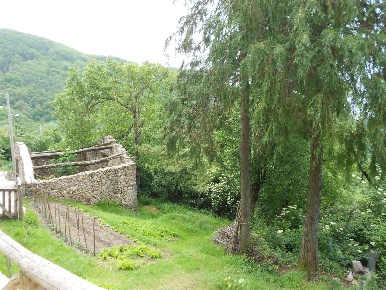 Foto Rustico in via A. Freddi, Villa Collemandina di 100 m² con 4 locali