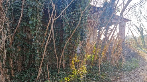 Foto Rustico a Mozzecane di 400 m² con 5 locali in vendita