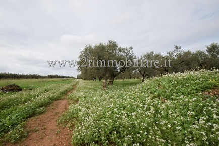 Foto Rustico in Via Giuffo, Mazara del Vallo Mazara Due, Borgata Costiera